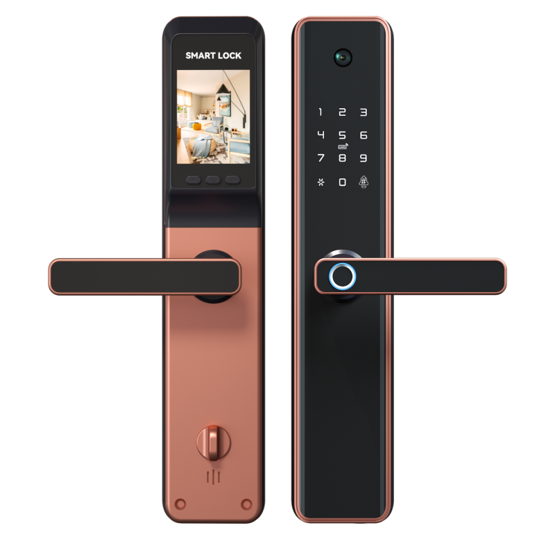 Serrure HSP-FM551